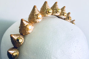 Arista Shell Crown